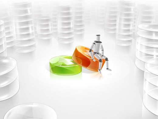 13050 (a): :1280x960